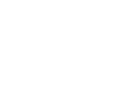 Inversiones Inmobiliarias Internacionales